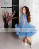 Girl Dresses Simple Long Sleeves Girl's Prom O-neck Sky Blue Ruched Kids Christmas Party Gown A-line Knee Length Pageant Dress 2024