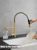 Küchenarmaturen, goldener Wasserhahn mit Brause AIMADI – modernes Einhebel-Spülbecken