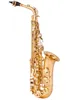 Custome Logo Eb Tune Saxophone Brass Plated Woodwind Instrument High Quality In Stock With Accessories Free Shipping