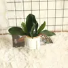 Dekorativa blommor Phalaenopsis Leaf Orchid Artificial Flower Plant Wedding Decoration Wind for Home Party