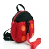 Mochila bonito portador de bebê andando cinto saco arnês trelas sacos crianças segurança aprendizagem caminhada bolsa crianças infantil ladybird314a