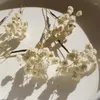 Decorative Flowers 4-10pcs Baby's Breath Dried Flower Hair Pin Gypsophila Bridal Accessories White For Wedding