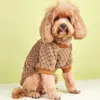 Abbigliamento per cani stile stampa ananas autunno/inverno peluche abbigliamento per animali domestici felpa con cappuccio transfrontaliera per cani e gatti 2024