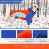 Hundkläder mode färgglad vinter husdjur varma kläder vattentät snöbeständig vadderad dubbel ben bomull utomhus kappa justerbar
