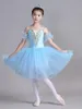 Stadiumkleding Ballet Tutu Rok Jurk Lange vestidos voor meisjes Vrouwen Kids Zwaan Sling Danskostuums Prestaties Prinses