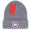 Fashion Beanie Skull Designer Caps winter Stylish bonnet gift Goose Cap Letter Winter Beanies for Men Women Warm Wool Hat Ca s