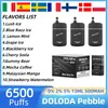 DOLODA Pebble 6500 Puff Desechable Vape Puff 10 Sabores E Cigarrillo 0% 2% 5% Cartucho Pod Mesh Coil Recargable Vape Pen 13 ml Capacidad de aceite más Puff Elf Bar vs Bang 8500