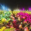 Guirlande lumineuse extérieure étanche à LED spécialement conçue pour une utilisation en extérieur, lumière supplémentaire pour la croissance des plantes