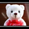 Plush Dolls 22cm Heart Talk Talk Teddy Bear Pchane zwierzę LED świecące Luminous Baby Prezent Kids I Love You Toy 231204