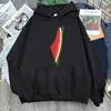 Hoodies masculinos melancia palesti hoodie masculino feminino estético vintage manga longa camisolas soltas pulôver outono inverno streetwear