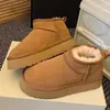 Tazz Tasman Terlik Kadın Kestane Kürk Slaytlar Disque Sheepsin Klasik Katırlar Ultra Mini Tazz Platform Boot Slip-On Ayakkabılar Süet Siyah Ren Geyiği Bootes