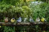 ديكور الطيور الطيور الزخرفية - تماثيل وتماثيل للطيور في الهواء الطلق والداخلية - ديكورات الطيور للمنزل والحديقة - مجموعة بحجم الطيور الحقيقية من 6