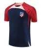 2024 R. de Paul Soccer Training Kamizelka 23 24 Joao Felix Madrids M. Llorente Correa Camiseta Football Shirts Men Kit Griezmann Cunha Carrasco