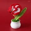 Decorative Flowers Handmade Crochet Carnation Flower Hand-knitted Homemade Artificial DIY Bouquet Finished Christmas Gift