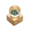 Party Decoration Flowers Lotus Blue Black Night Light Wooden Resin Crystal Ball For Girlfriend Holiday Gift