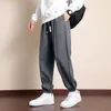 Spring Loose Drawstring Pants Straight Gym Mens Sweatpants Cargo Pants Mens Joggers Running Sports Casual Hip-Hop Stretch Pants Outdoor Streetwear Men Trousers 4XL