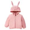 Jacken Plüsch Baby Verdicken Warme Winter Für Mädchen Fleece Wolle Mäntel Kleinkind Mit Kapuze Outwear 0-4 Jahre Kleinkind kleidung