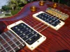 ホット販売高品質のエレクトリックギター2004カスタム24アーティストブラウンカメ炎10トップバード - 楽器