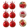 Party Decoration 100 Pcs Imitation Pomegranate Artificial Decor Home Accessories Props Fruit Layout Scene Foam Fake Fruits Model