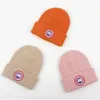 Hommes hiver Goose Cap cadeau Bonnet tricoté bonnet crâne chapeaux de créateurs pour femmes hommes bonnets Bonnet hiver casquettes Cappello coton mode St s s pello