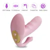 Sexspielzeug-Massagegerät, 3-in-1-Vibrator, 10 Vibrationsmodi, Klitoris, Vagina, Analstimulator, tragbares G-Punkt-Massagegerät, Spielzeug für Frauen