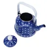 Serviesgoed Sets Ketel Thee Theepot Pot Water Emaille Koffie Keramische Kookketels Top Vintage Fluiten Geëmailleerde Kookplaat Japanse Losse