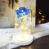 Presente eterno do Valentine Led Light Beauty and Beast Rose in Glass Dome Birthday Birthday Presente para o Dia dos Namorados 1205