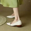 Sapatos de vestido primavera / outono mulheres apontou dedo do pé robusto pele de ovelha mary janes bombas sólidas fivela retro bonito
