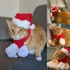 Hundkläder katt och hund juldräkt halsduk gåva för söt husdjur valp kattunge små katter hundar xmas kläder kläder 231205