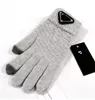 Mitaines à cinq doigts en laine de mouton pour hommes, cadeau du bout des doigts, imperméables, plus velours, gants thermiques de moto pour fitness