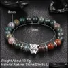 Charm Bracelets Charm Bracelets Wholesale Fashion Woman Man Plating Gold Sier Chain Bracelet Crystal Lava Stone Skeletons Tiger Eye Je Dh5Do