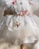 Robes de demoiselle d'honneur perlées pour mariage, plumes appliquées, robes de concours, en Tulle, longueur au genou, robe de bal, robe d'anniversaire pour enfants