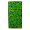 Decorazioni natalizie 1500g Piante di simulazione Vita eterna Muschio Giardino Decorazioni per la casa Parete Materiale fiore fai da te Mini Micro Paesaggio Regalo falso 231205