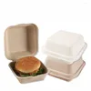 Cadeau cadeau 10 / 20pcs jetables bento boîte alimentaire repas préparation déjeuner stockage salade de fruits hamburger gâteau sandwich emballage