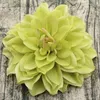 Decorative Flowers Wreaths 10PCSlot Big Artificial Dahlia Peony Flower Head 1415CM Dia Silk Wedding Wall Floral Party Home 231205