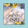 Diadèmes Cristal Strass Couronne Princesse Tiara Peigne Fleur Filles Cheveux Tête Porter Accessoires Cadeau D'anniversaire Will Et Drop Livraison Jewel Dhw2G