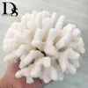 14-16cm 100% Natural Coral Sea White Coral Tree White Coral Aquarium Landscaping Home Furnishing Ornaments Home Decoration169I