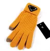 Mitaines à cinq doigts en laine de mouton pour hommes, cadeau du bout des doigts, imperméables, plus velours, gants thermiques de moto pour fitness