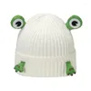 Berets Men And Women Cute Cartoon Wool Cap Fashion Frog Knitted Ear Protection Head Warm Anti-cold Penny Street Hip-hop Hat