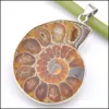 LACKETS TUCKSHINE 2st /LOT JUL 925STERLING SIER Simple Design Restore Ancient Ways Ammonite Fossil Pendant For Lady Gift 31x41 DNne0