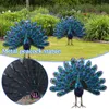 Bahçe Dekorasyonları Metal Peacock heykelleri Duran duruş figürin dekoratif bahçe sanat heykeli veranda arka bahçesi havuz açık dekorasyon