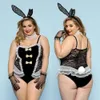 Sexy traje roupa interior cosplay conjunto plus size coelho menina renda bodysuit erótico catsuit lingerie trajes sexy role play outfits