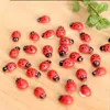 Peri Bahçesi Dekorasyon Böcek Kendinden Yapışkan Lady Bugs Minyatür Bitki Potları Bonsai zanaat hayvanları mikro peyzaj diy dekor mini lad301c