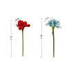 Flores decorativas grinaldas de alta qualidade 4 cabeças de lã Clivia ramo de flor artificial Amaryllis flor falsa família decoração de casamento adereços decorações 231205