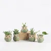5 datorer Set Creative Ceramic Owl Shape Flower Pots Planter Desk Söt design Succulent Y200723229B