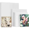 Cadres 6pcs blanc planches d'art vierges mini toile d'artiste étirée planche acrylique peinture à l'huile coton oeuvre peinture framed288j