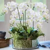 Flores decorativas grinaldas artificial orquídea em massa real toque grande látex orquídea falso phalaenopsis flor casa decoração de casamento 231205