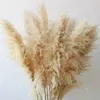 Decoraciones navideñas 31,543.3 in Pampas Grass Grandes Flores Secas Esponjosas Altas Boho Decoración Planta para Jarrón Arreglo Floral Hogar Boda 231205