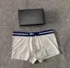 2024 Designers Brand Mens Boxer Men Underpants Brief pour l'homme sous-gardien Sexy Underwear Boxers Coton Shorts masculin No Box Nou8