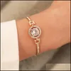 Chaîne Élégant Lien Chaîne Bracelets Pour Femmes Dames Creux Cercle Zircon Pierre Cz Diamants Homard Fermoir Bracelets Bijoux En Gros Dro Dh5Yu